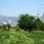 Lasithi Plateau Excursions from Agia Pelagia, Lygaria, Fodele