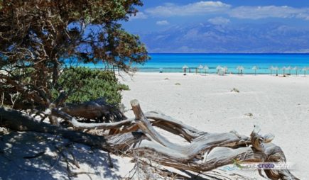 Chrissi Island Excursions form Agia Pelagia, Lygaria, Fodele