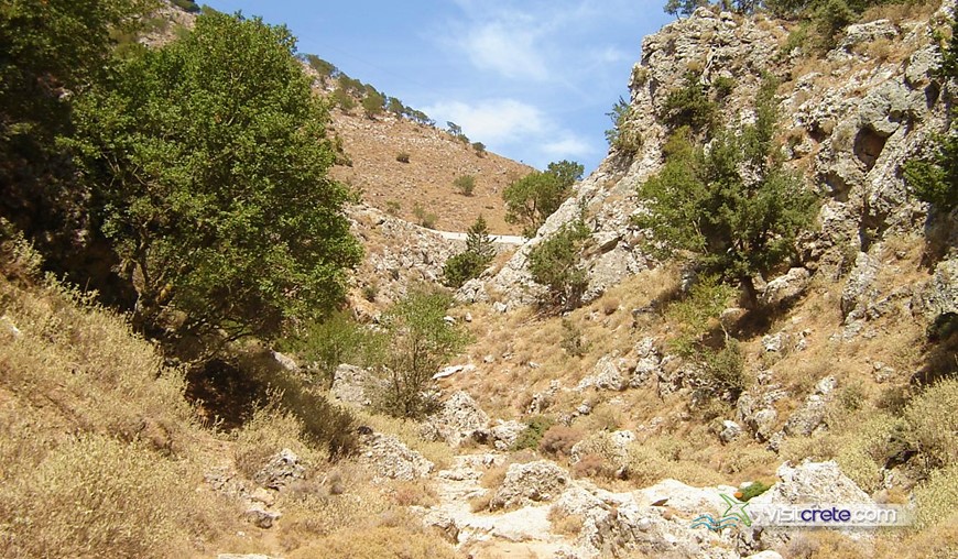 Imbros Gorge Excursions from Hersonissos, Malia, Heraklion